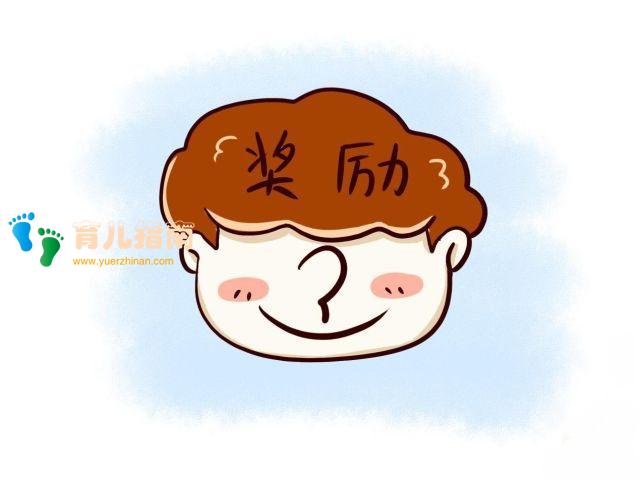 巧用扇贝效应”培养孩子独立！但这些误区需注意，用错起反作用