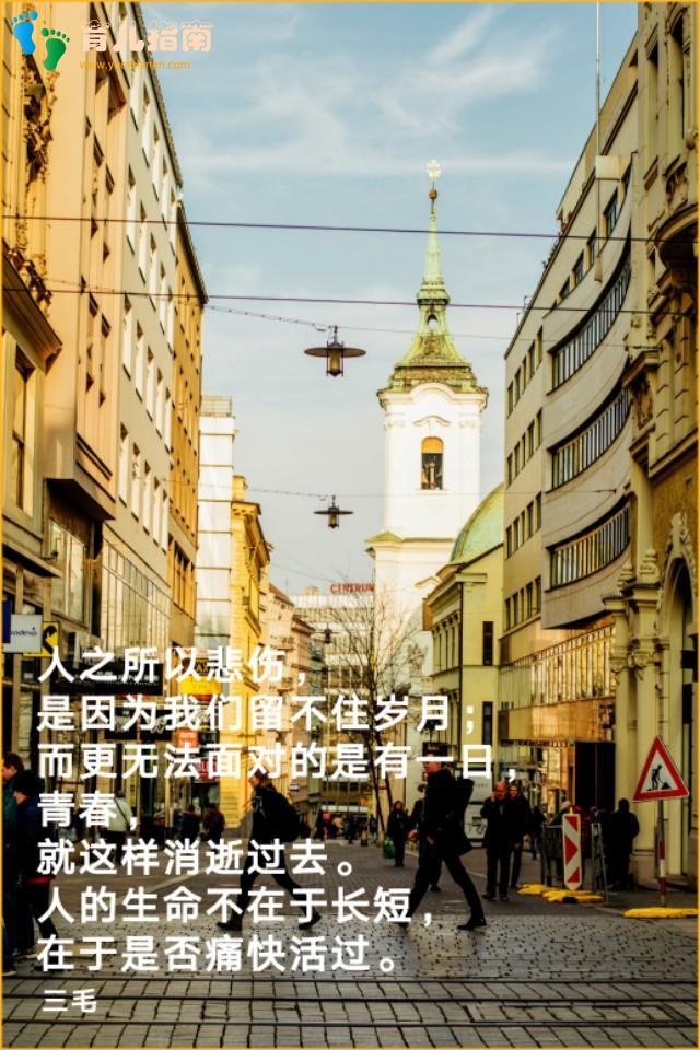 活了100万次的猫