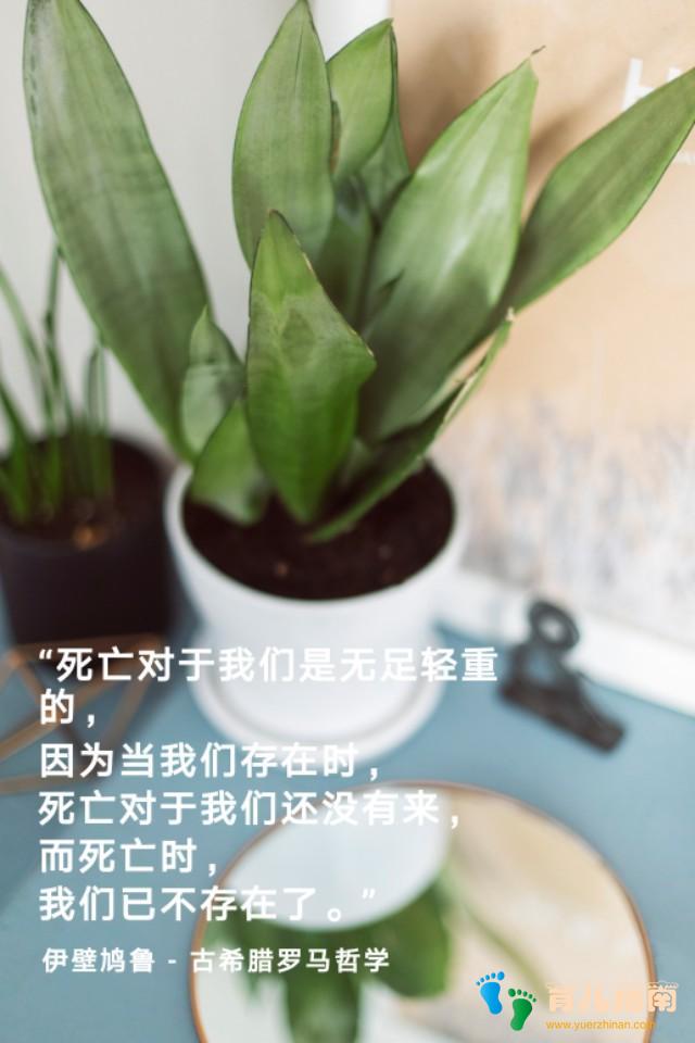 活了100万次的猫