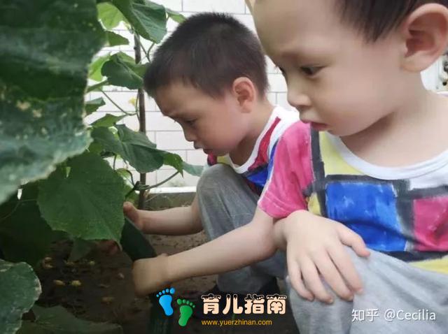 什么东西是你不理解,但孩子却爱不释手的?