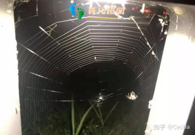 什么东西是你不理解,但孩子却爱不释手的?