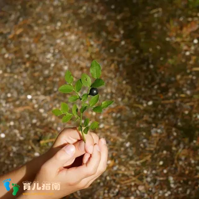 孩子有缺点不可怕,可怕的是你一直盯着不放