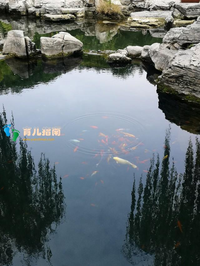 小欢喜:父母的爱真的会把孩子逼疯吗?