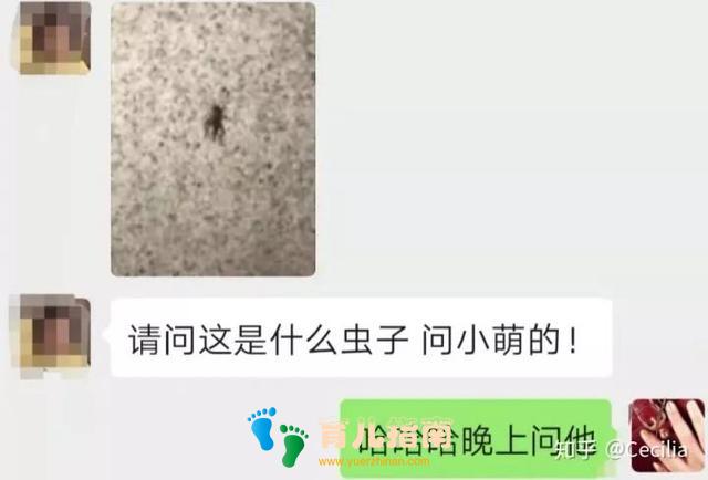 什么东西是你不理解,但孩子却爱不释手的?