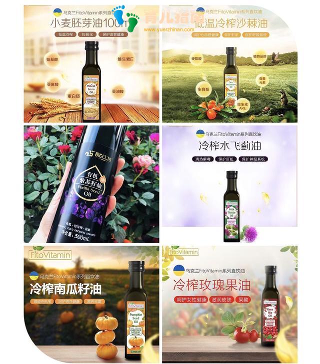 选好全营养魔法餐材料 准备变魔法