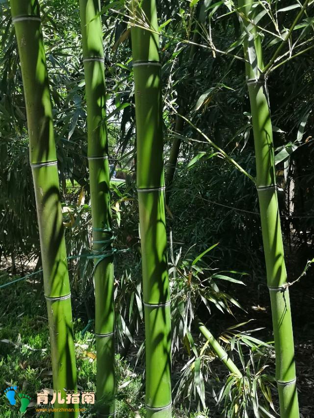 小欢喜:父母的爱真的会把孩子逼疯吗?