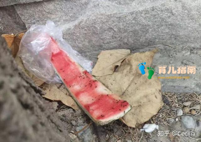 什么东西是你不理解,但孩子却爱不释手的?