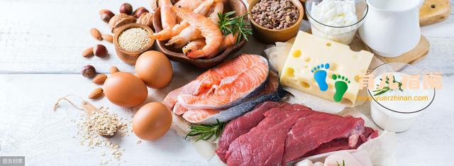 选好全营养魔法餐材料 准备变魔法