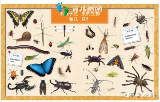 什么东西是你不理解,但孩子却爱不释手的?