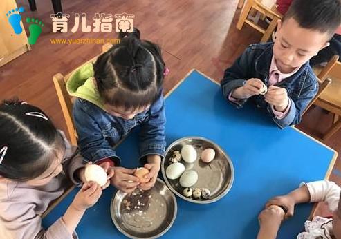 又有娃吃鸡蛋进医院!关于吃鸡蛋的误区”,你要记住