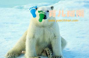 孩子总是听不懂你的话?心理学白熊实验:父母可以试着这样表达