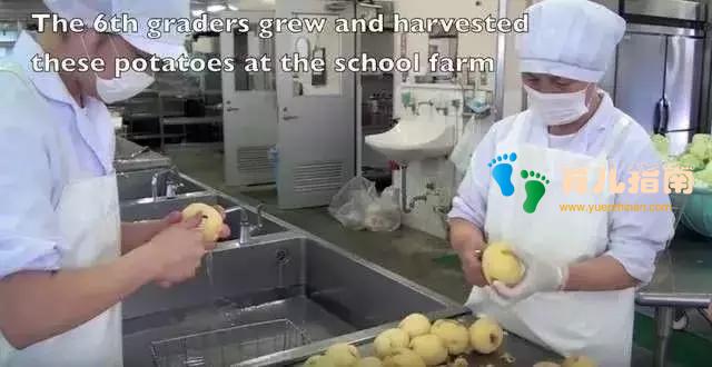 日本有多无情,看完你就知道了