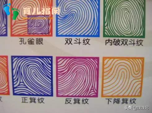 聪明孩子养成记┃室内亲子游戏