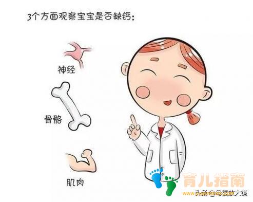 幼儿度苦夏，秋凉把钙加：秋季是宝宝补钙、长个黄金期，不要错过