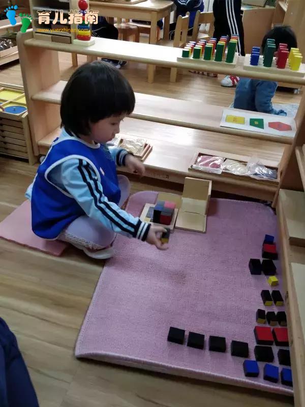 华杉教学|论蒙氏教育的五大领域