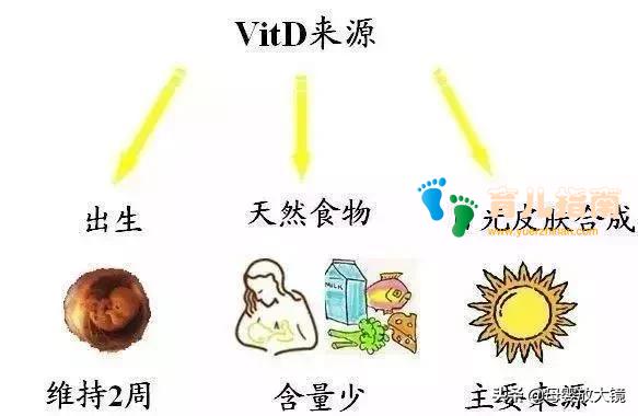 幼儿度苦夏，秋凉把钙加：秋季是宝宝补钙、长个黄金期，不要错过