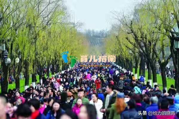 暑假带孩子去了很多地方,回到家还是写不出一篇作文?