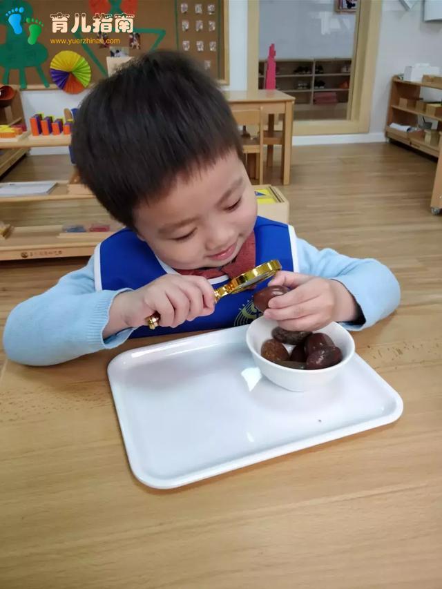 华杉教学|论蒙氏教育的五大领域