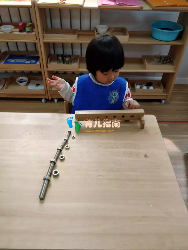 华杉教学|论蒙氏教育的五大领域