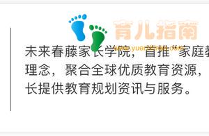 干货推荐丨升学提分，如何规划孩子编程学习与竞赛的方向和路径