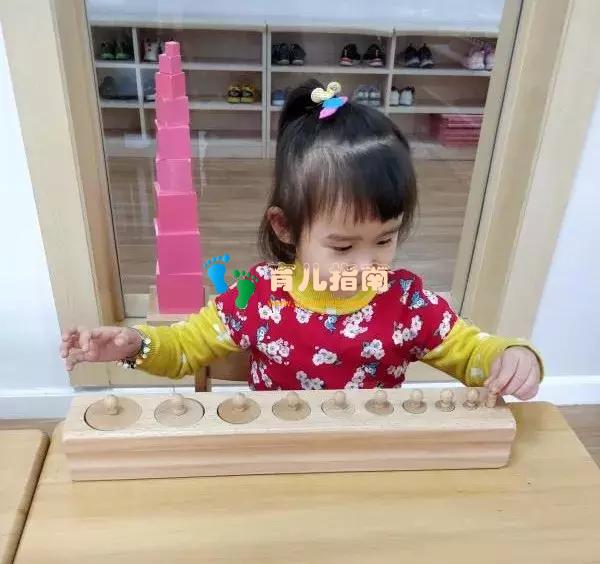 华杉教学|论蒙氏教育的五大领域