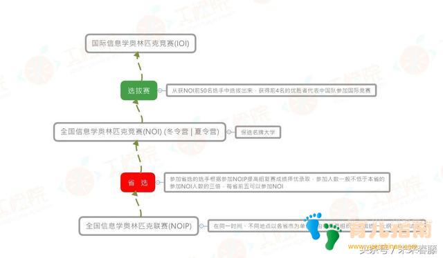干货推荐丨升学提分，如何规划孩子编程学习与竞赛的方向和路径