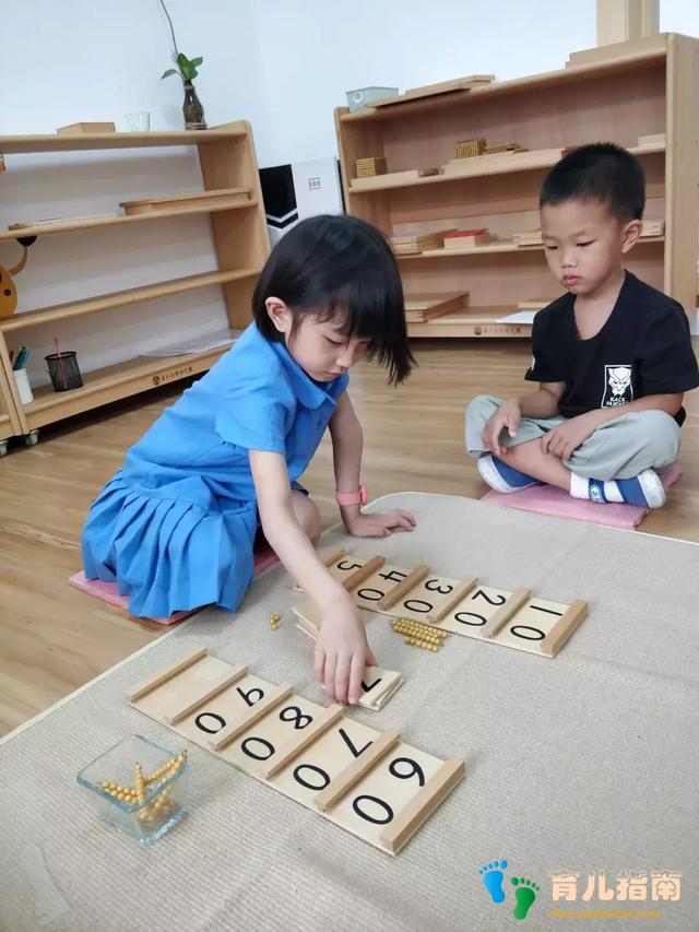 华杉教学|论蒙氏教育的五大领域