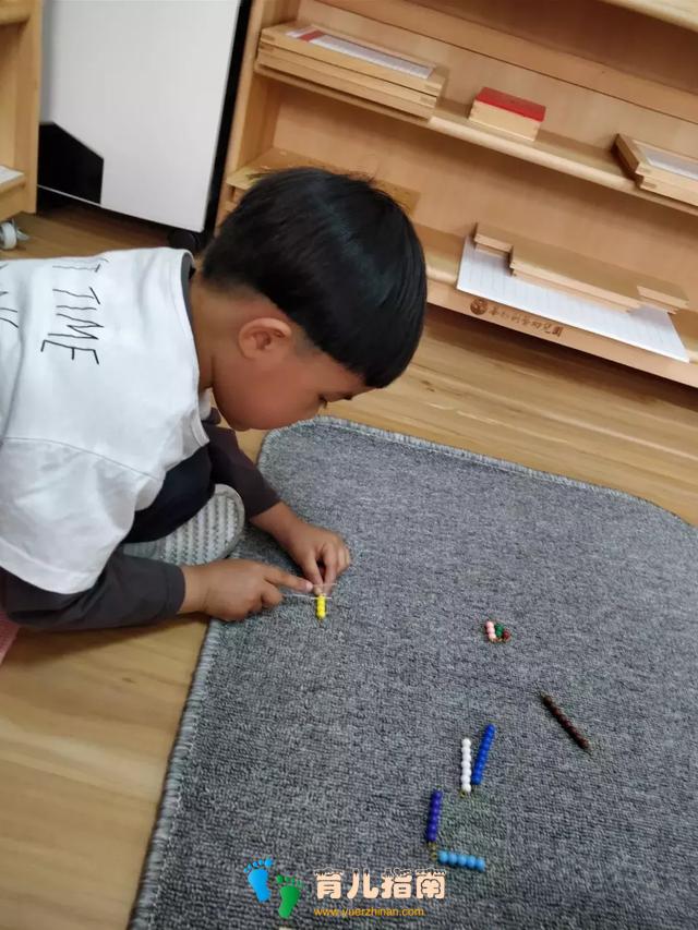 华杉教学|论蒙氏教育的五大领域