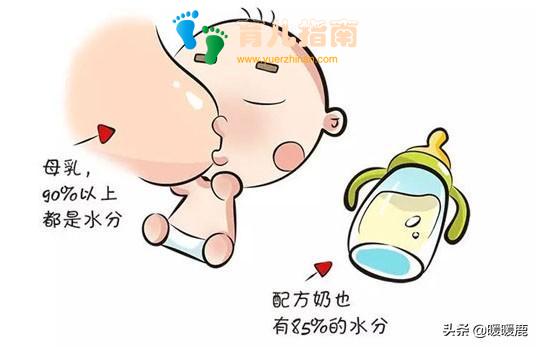 新生儿要喂水吗,6个月宝宝可以喝水吗,不同月龄的宝宝喝多少水
