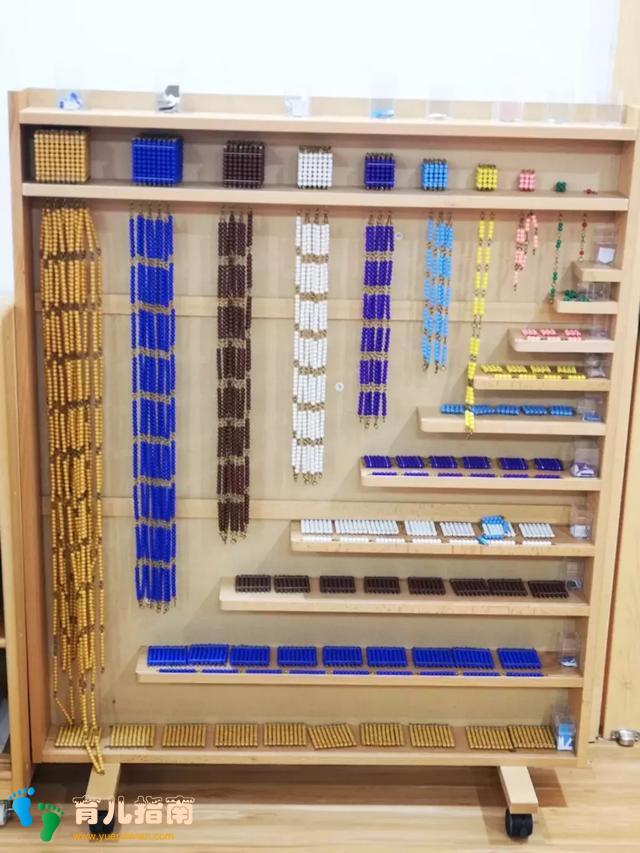 华杉教学|论蒙氏教育的五大领域