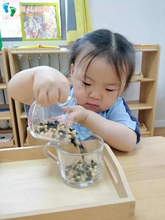 华杉教学|论蒙氏教育的五大领域