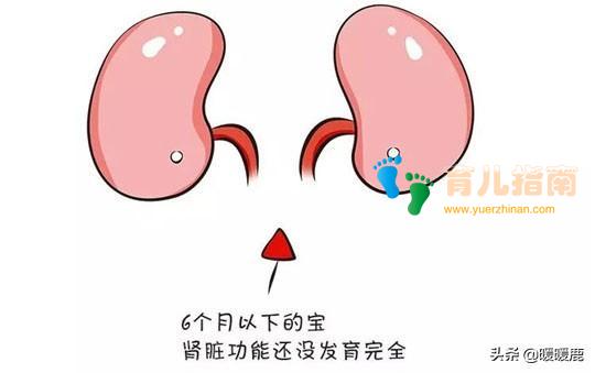 新生儿要喂水吗,6个月宝宝可以喝水吗,不同月龄的宝宝喝多少水