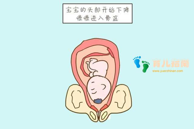 即将分娩的信号要学会,准妈妈不在意会遭罪