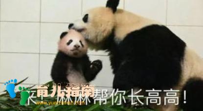 还在烦恼孩子长大体型矮小,你家宝宝离长高只差这五种运动方法