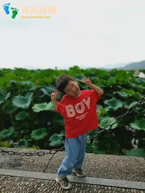 这里有一份信伢儿们亲爱的，热爱的”生活大锦集，请注意查收