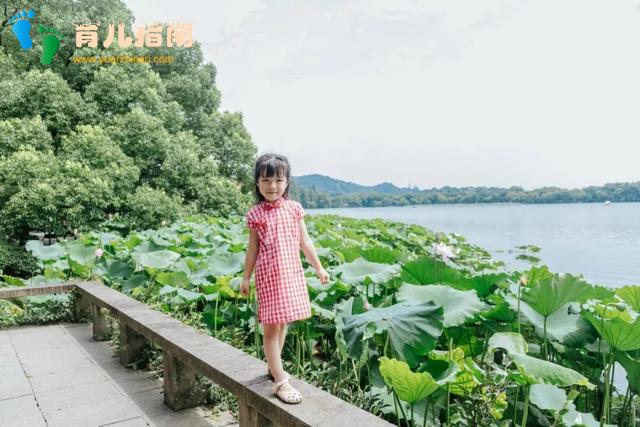 这里有一份信伢儿们亲爱的，热爱的”生活大锦集，请注意查收