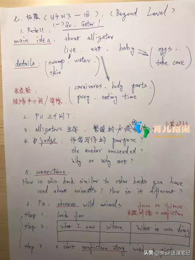 干货!英语0基础家长怎么给孩子使用wonders教材