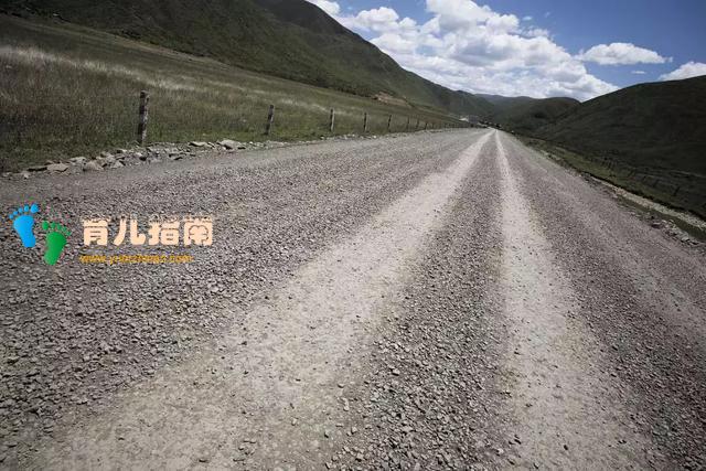 最好的教育方式，是让孩子自己探索世界