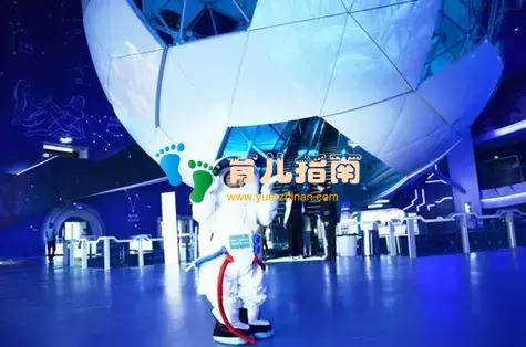 最好的教育方式，是让孩子自己探索世界