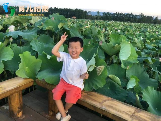 这里有一份信伢儿们亲爱的，热爱的”生活大锦集，请注意查收