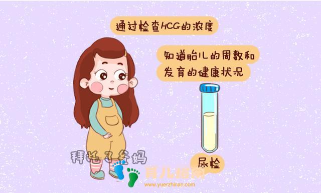 复发性流产患者，孕早期这项检查很重要，关乎胎儿是否能保住