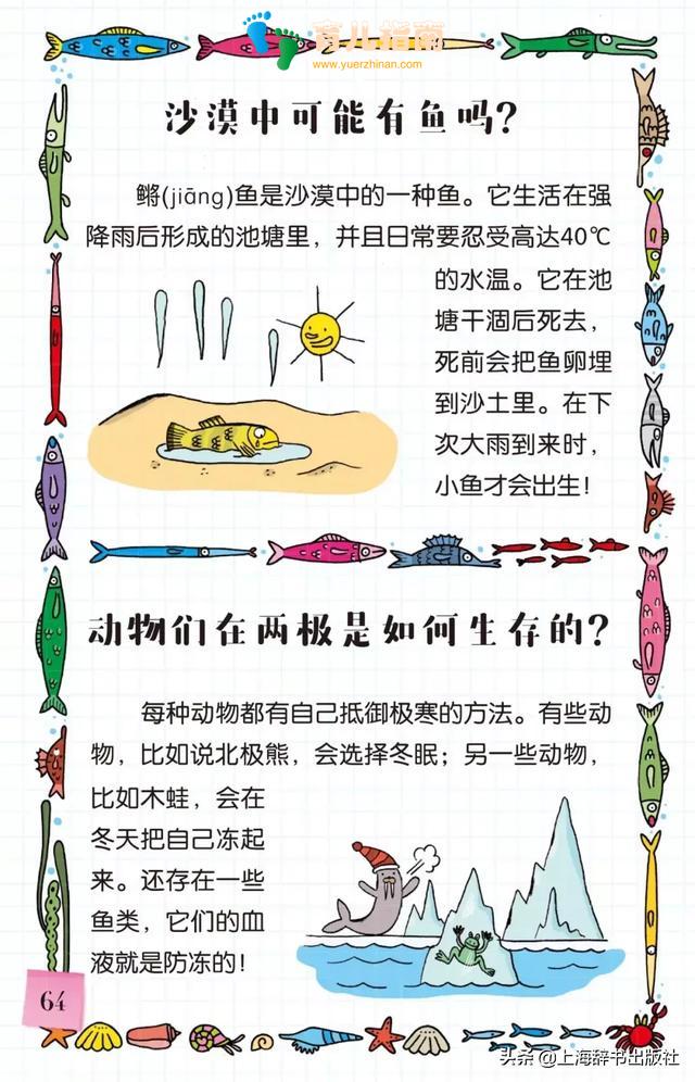 《告诉我!动物》| 带好奇宝宝走进神奇的动物世界~