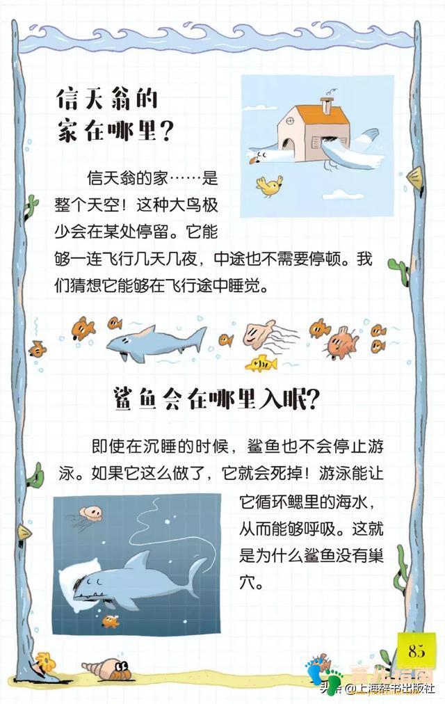 《告诉我!动物》| 带好奇宝宝走进神奇的动物世界~