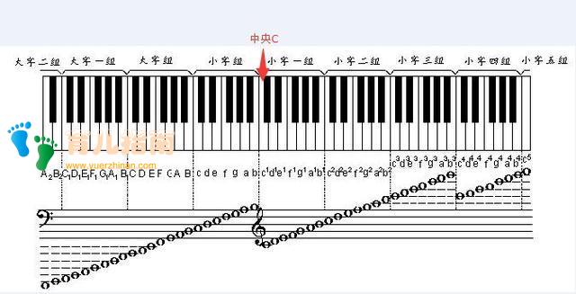 浅谈成人钢琴学习要点