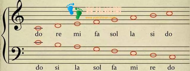浅谈成人钢琴学习要点