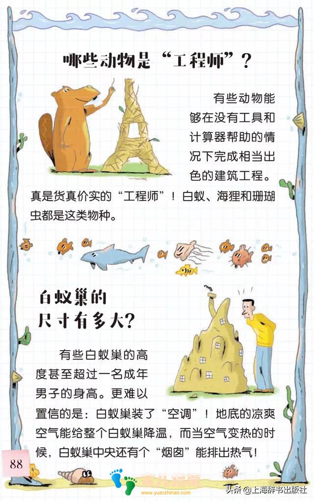 《告诉我!动物》| 带好奇宝宝走进神奇的动物世界~