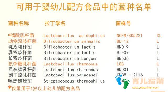 为什么宝宝吃了益生菌不管用？营养师教你避开这几大误区