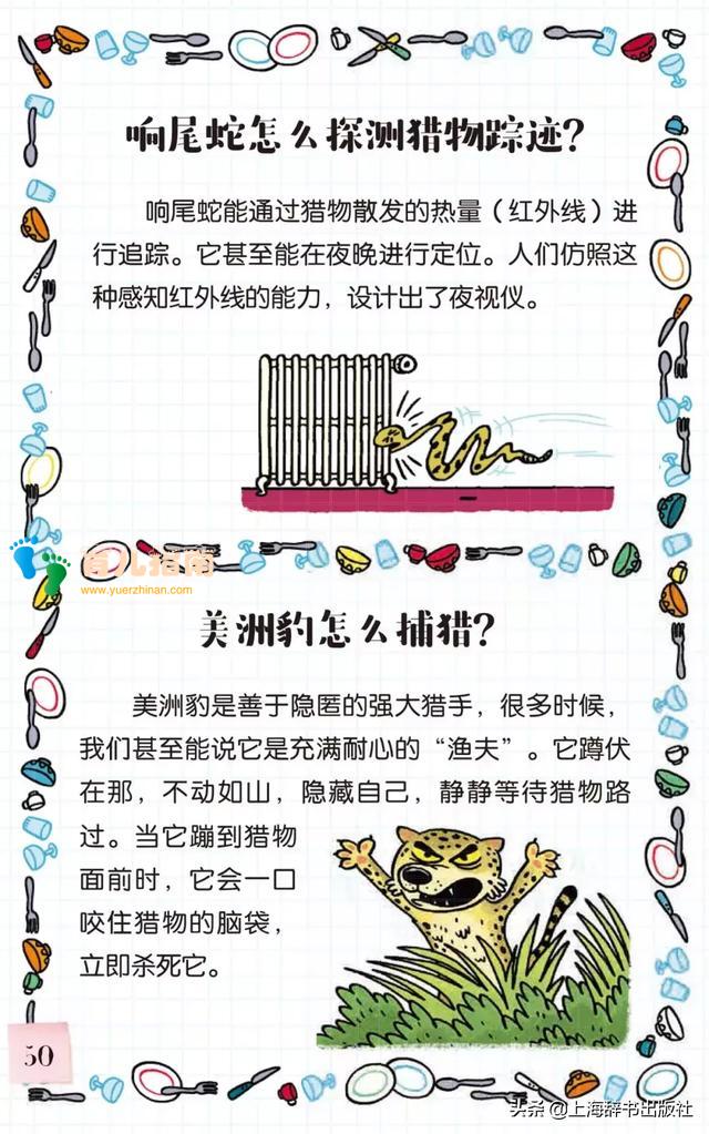《告诉我!动物》| 带好奇宝宝走进神奇的动物世界~