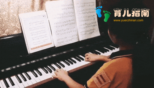 浅谈成人钢琴学习要点