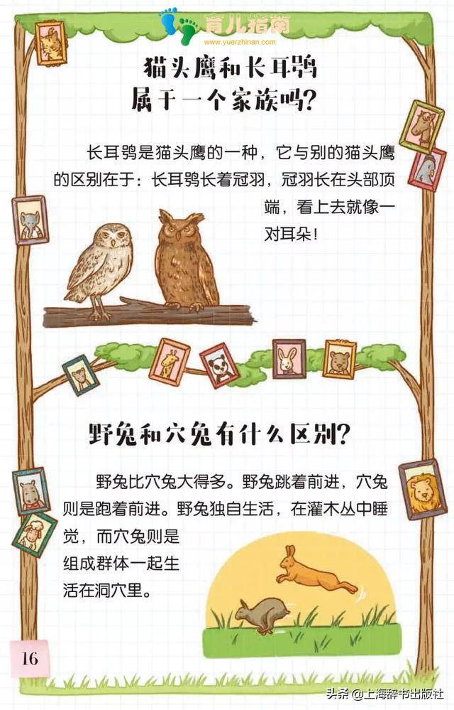 《告诉我!动物》| 带好奇宝宝走进神奇的动物世界~